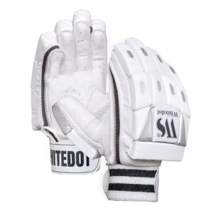 Batsman Handgloves